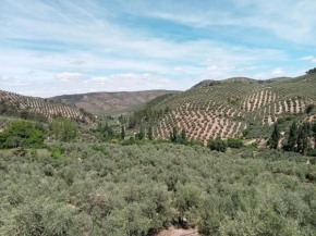 El Almendro de la Tia Teresa, Prados De Armijo